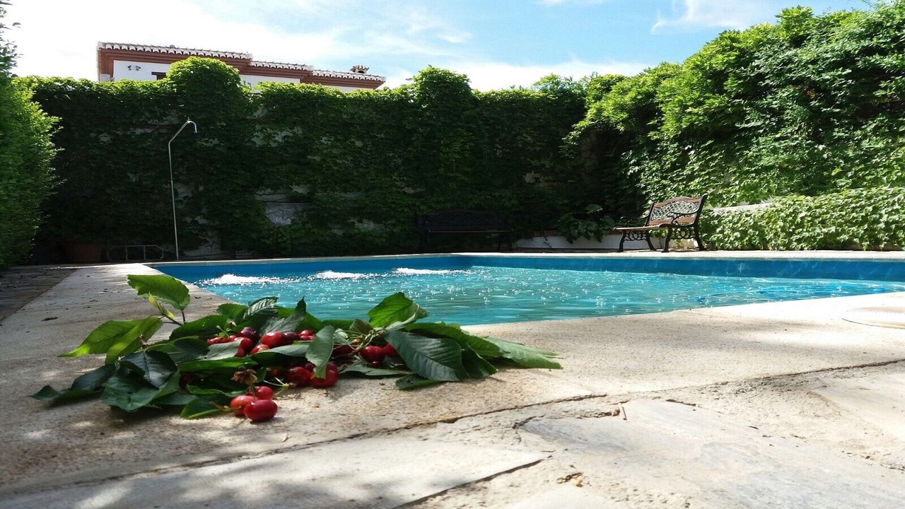 Photo of Outdoor in Cullar Vega