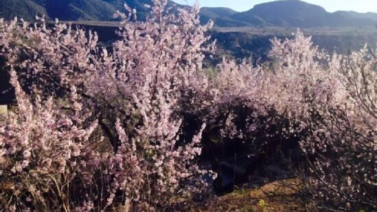 Photo of Outdoor in La Loma