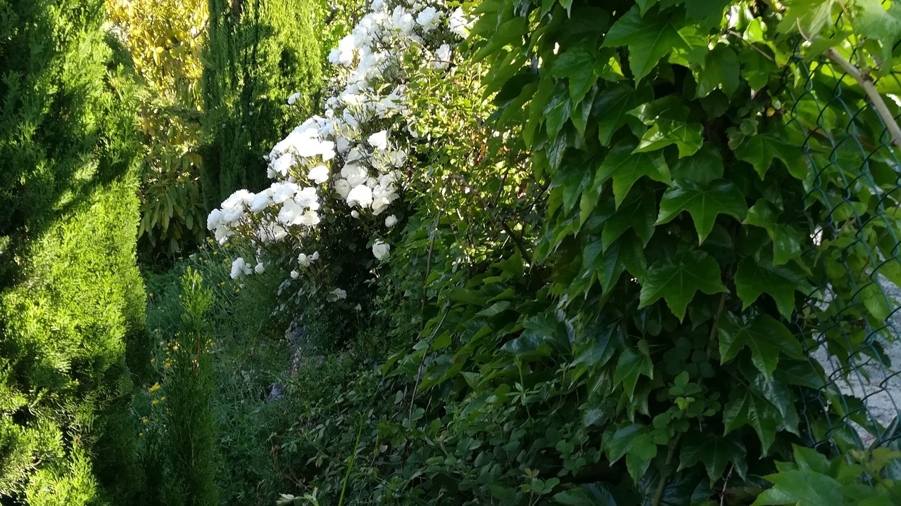 Photo of Outdoor in Carataunas
