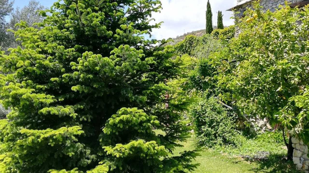 Photo of Outdoor in Carataunas
