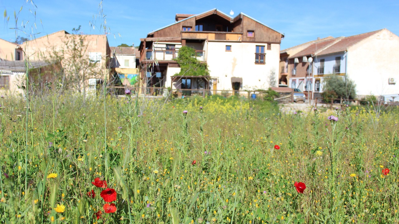 Photo of Outdoor in Pinos Puente