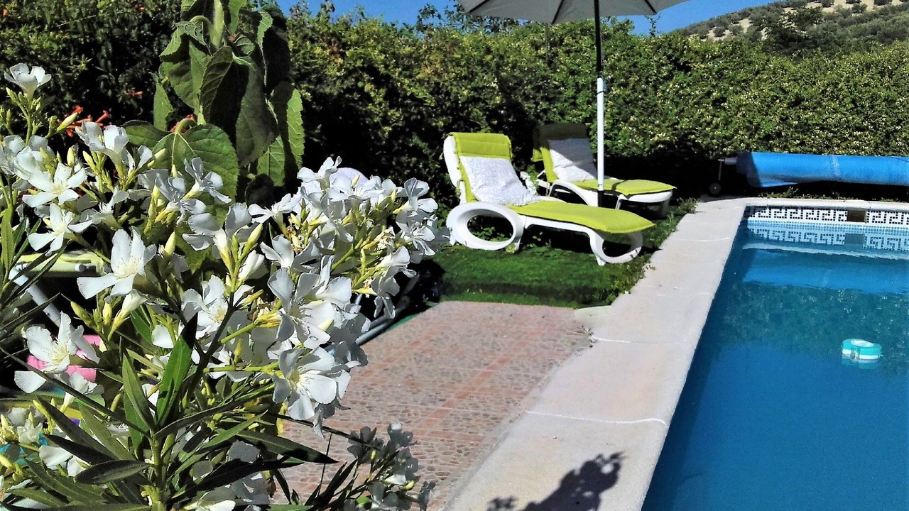 Photo of Outdoor in Montefrio