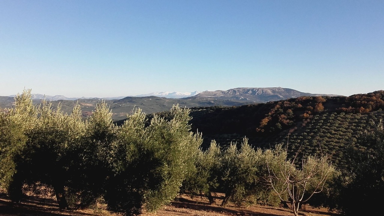 Photo of Outdoor in Montefrio