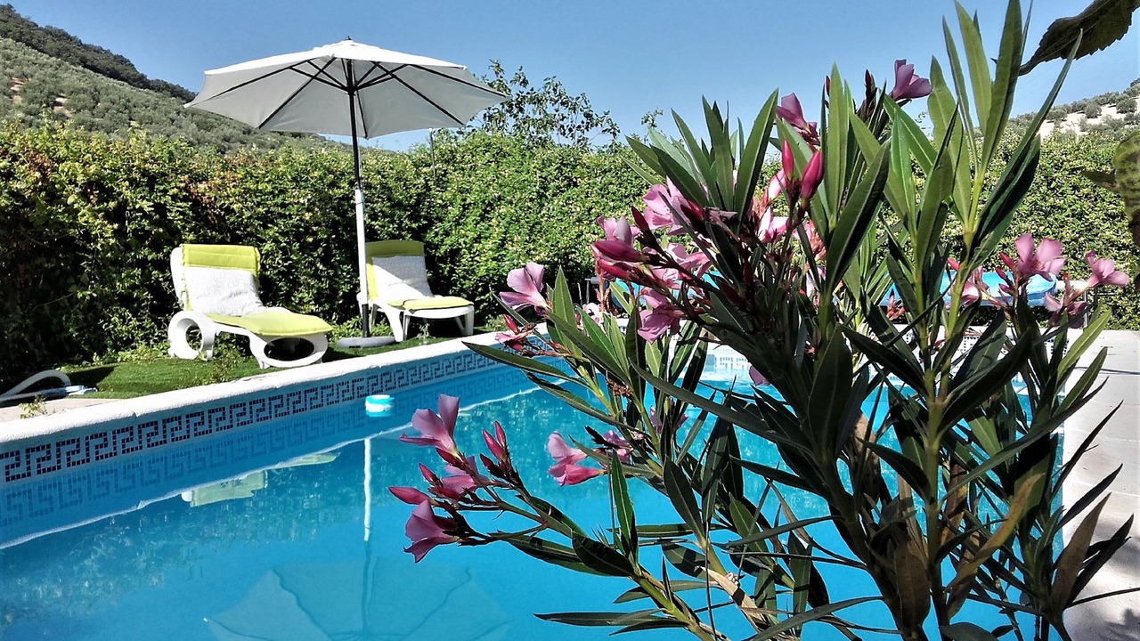 Photo of Outdoor in Montefrio