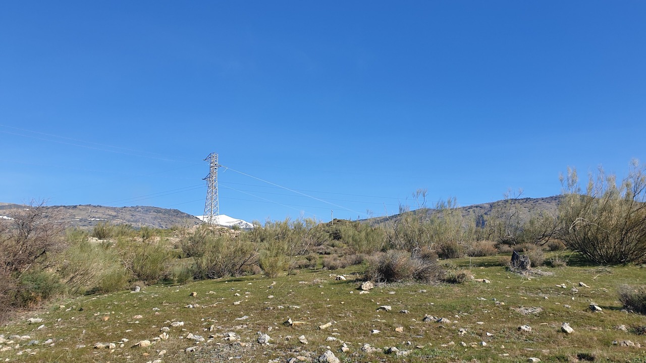 Photo of Others in Orgiva
