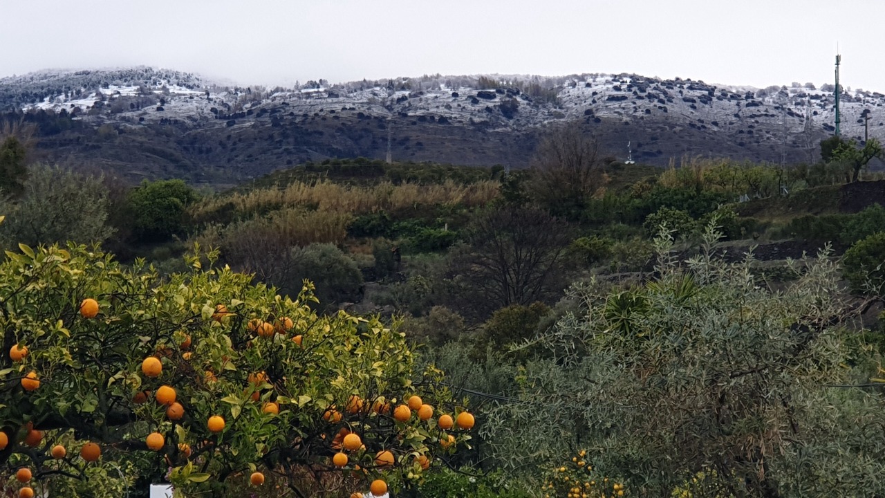 Photo of Others in Orgiva