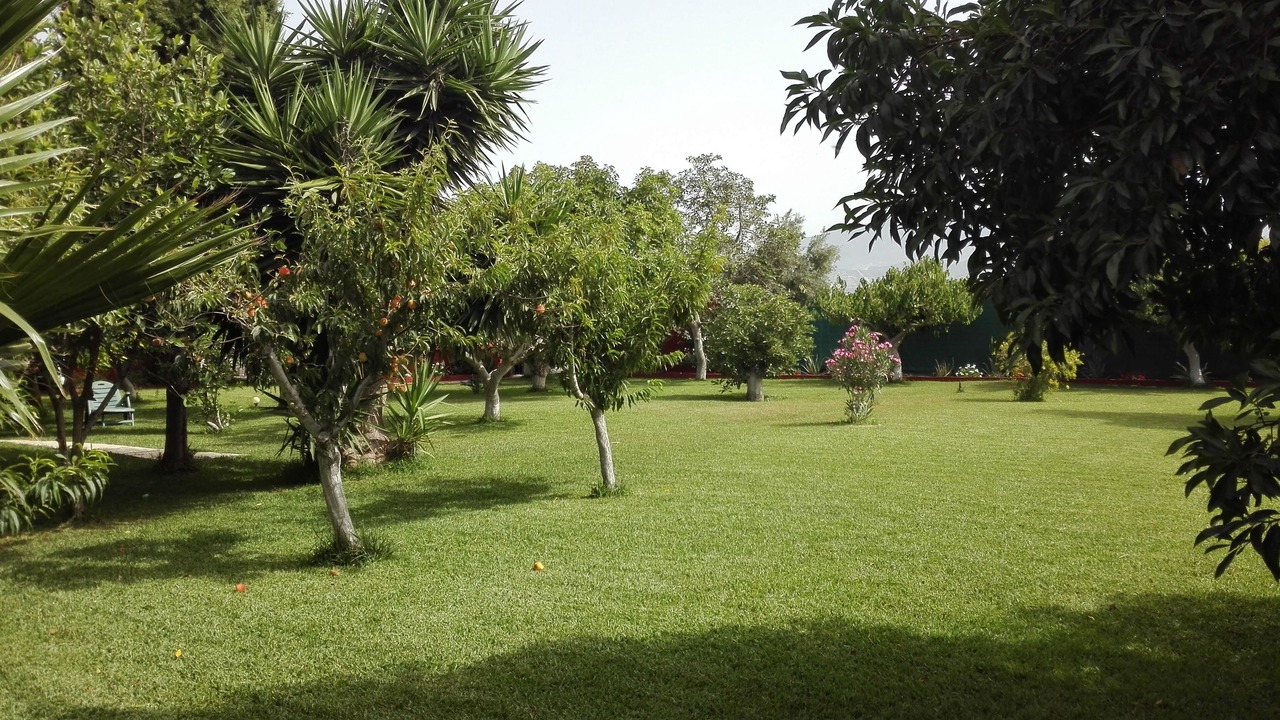 Photo of Outdoor in Motril