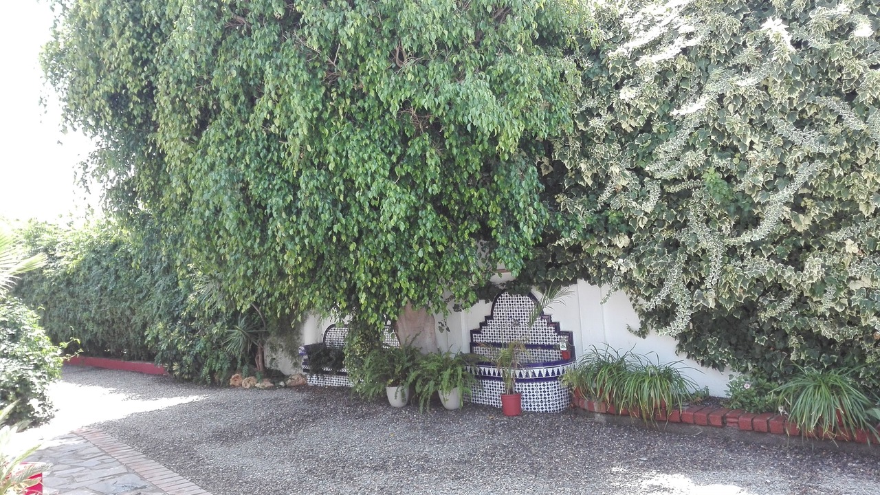 Photo of Outdoor in Motril