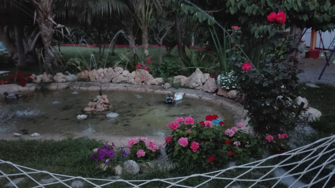 Photo of Outdoor in Motril