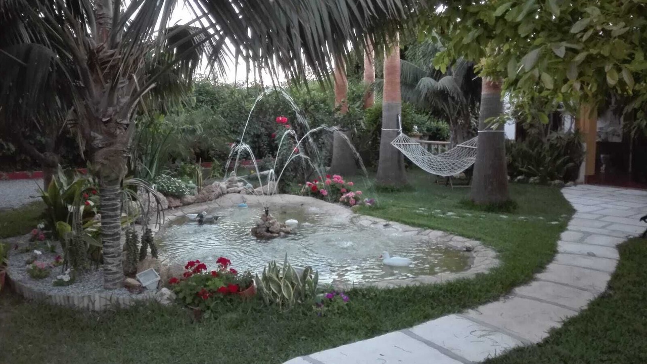 Photo of Outdoor in Motril
