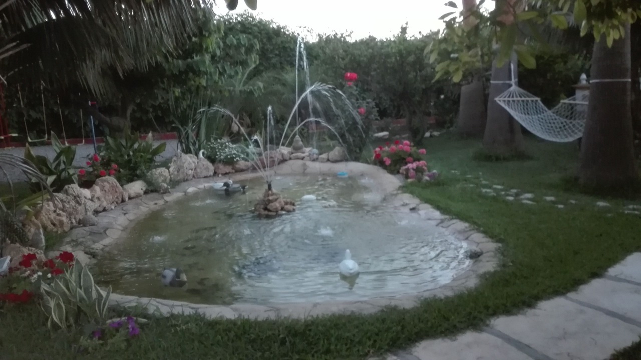Photo of Outdoor in Motril