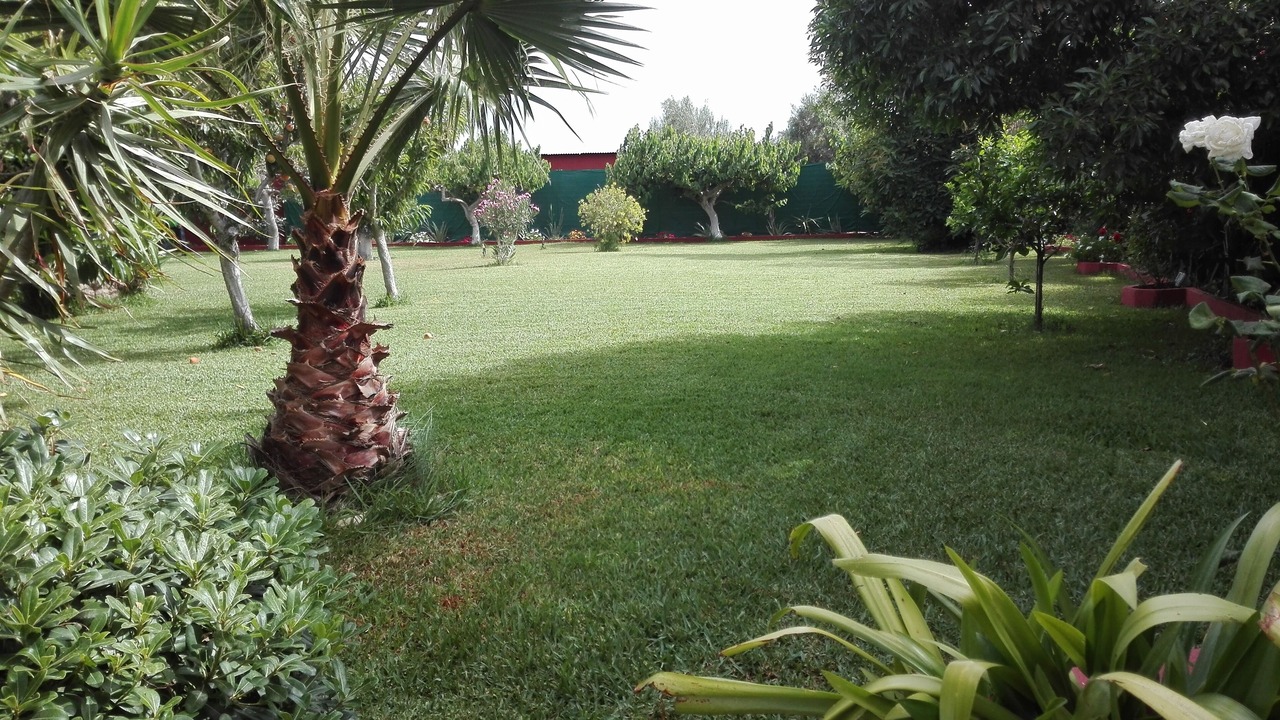 Photo of Outdoor in Motril