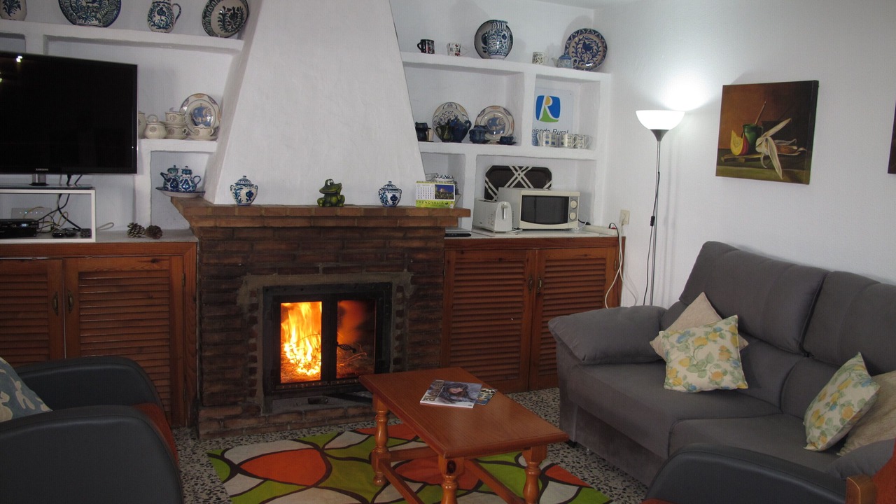 Photo of Livingroom in Almunecar