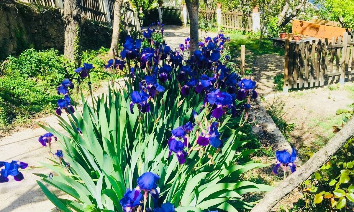 Photo of Outdoor in Nevada