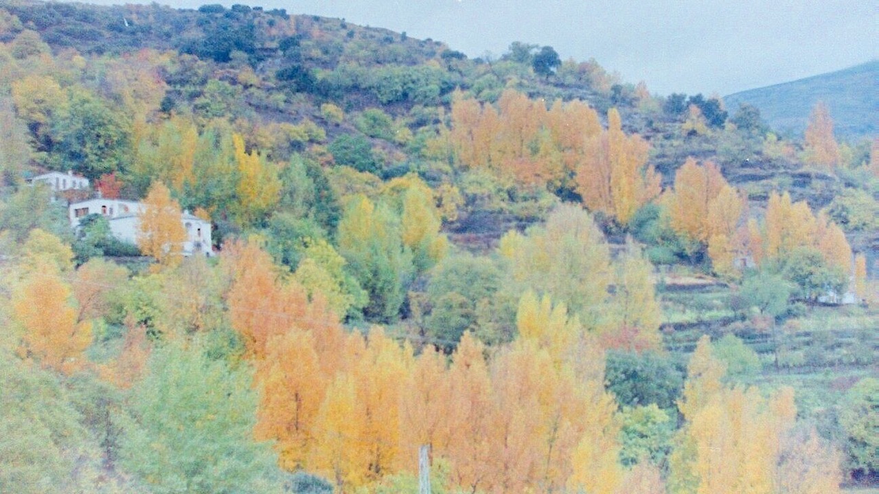 Photo of Outdoor in Nevada