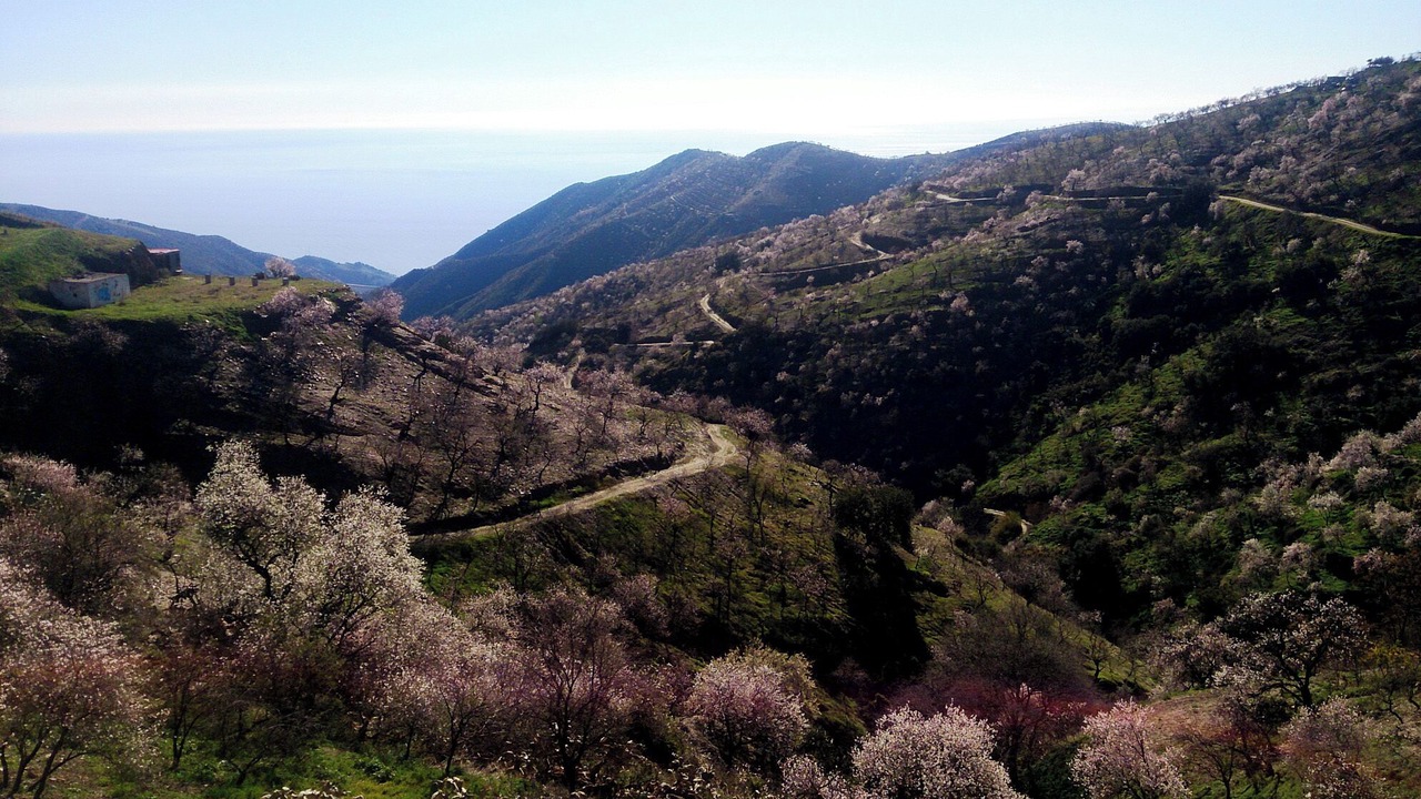 Photo of Outdoor in Sorvilan