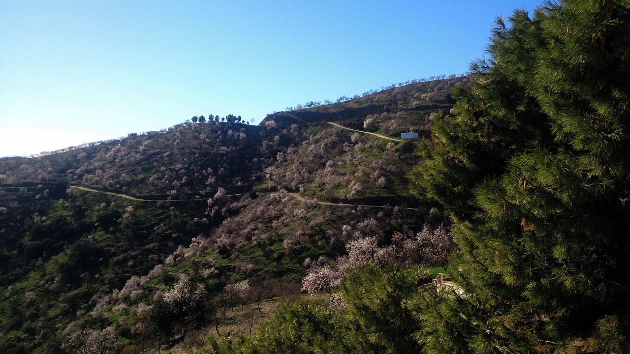 Photo of Others in Sorvilan
