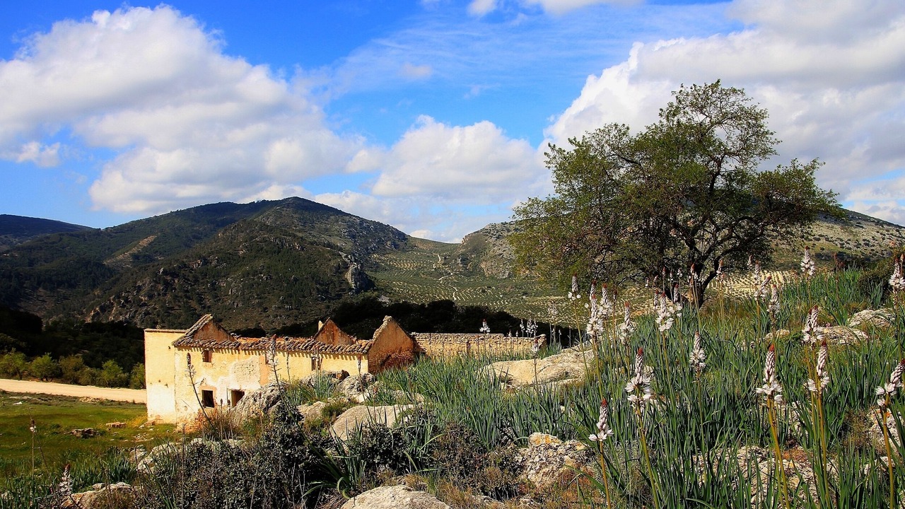 Photo of Others in Murchas
