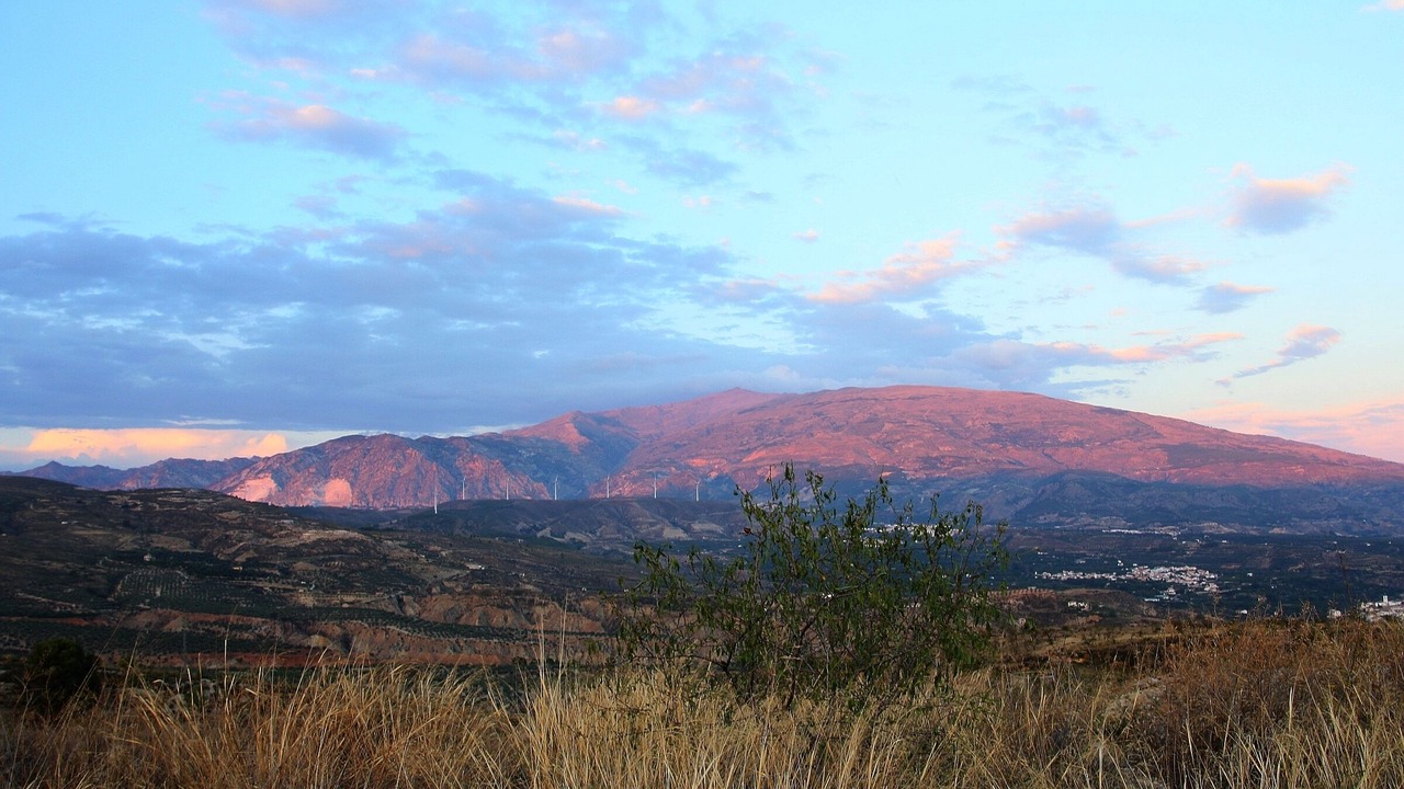 Photo of Others in Murchas