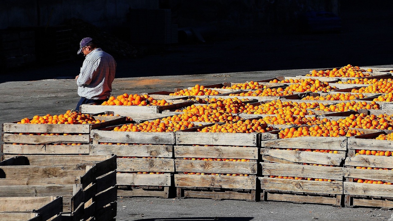 Photo of Others in Murchas