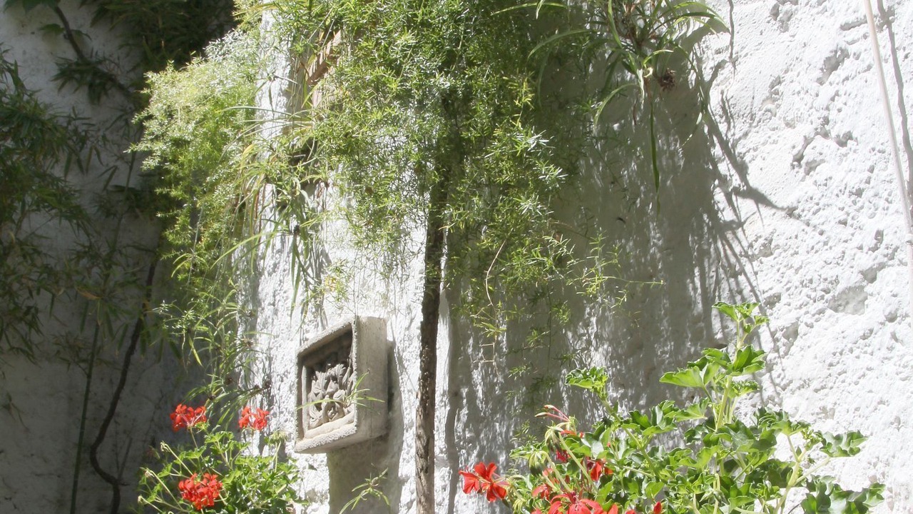 Photo of Outdoor in Murchas