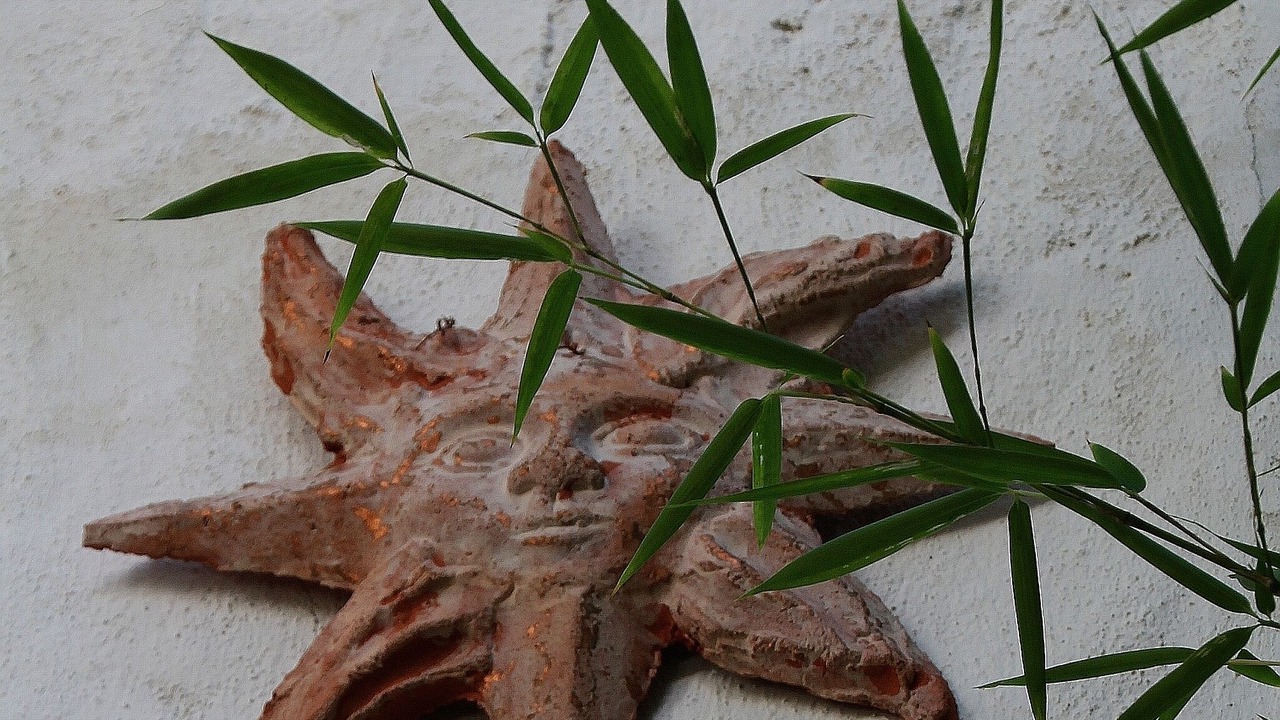 Photo of Outdoor in Murchas