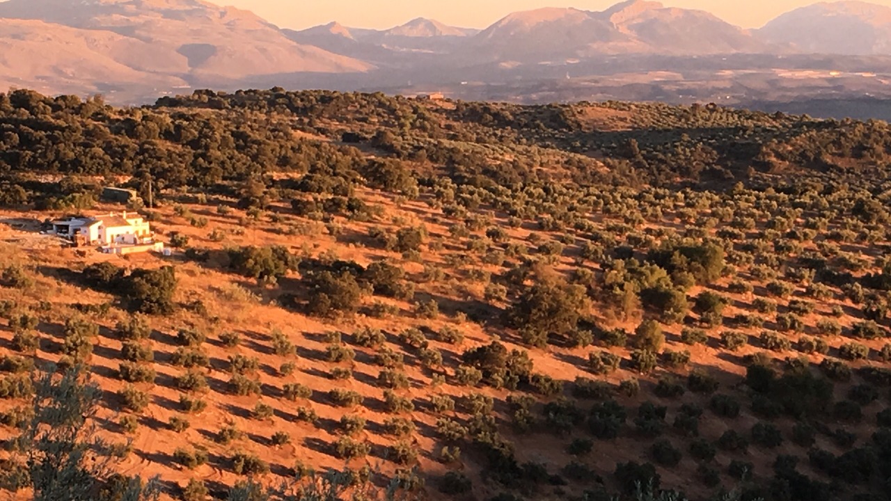 Photo of Outdoor in Loja