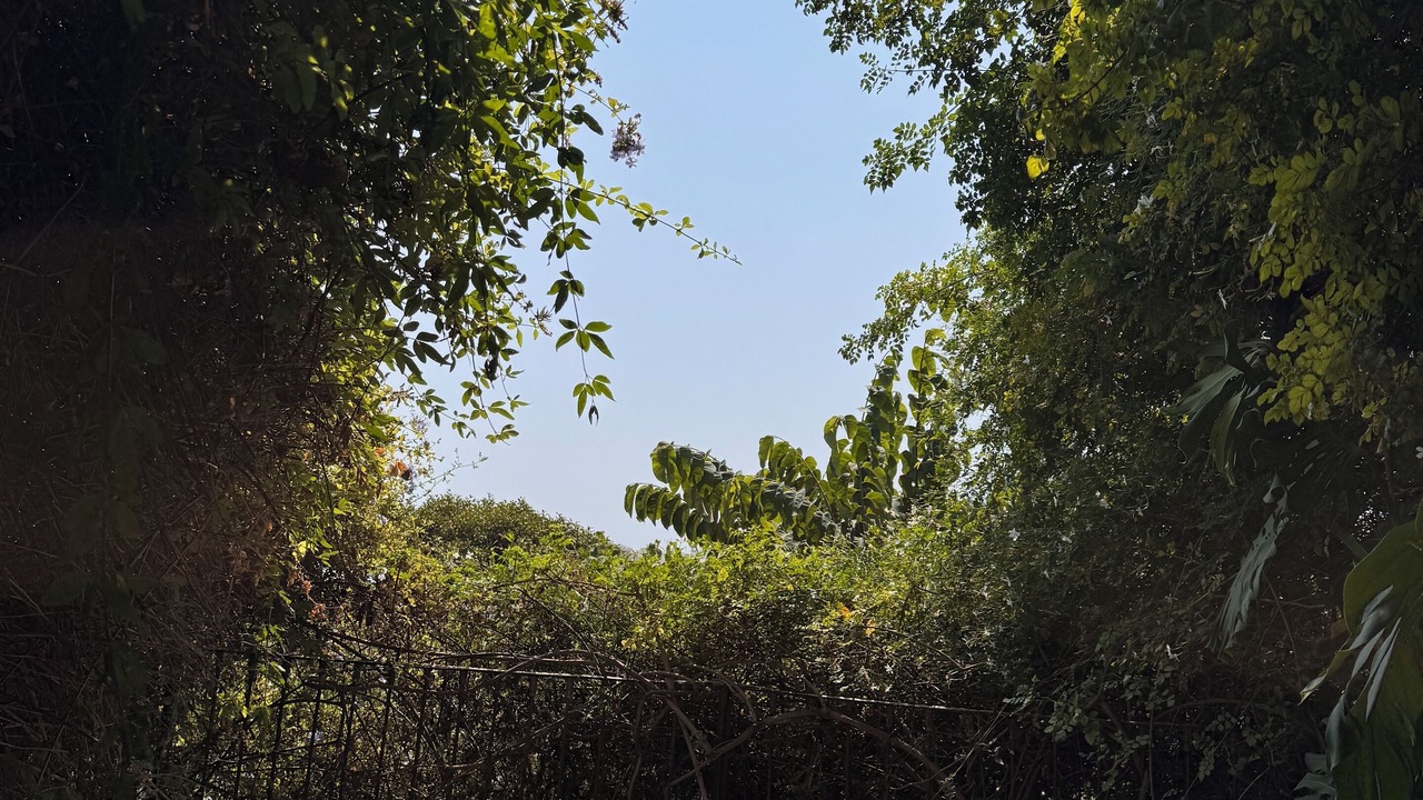 Photo of Patio Balcony in Almunecar