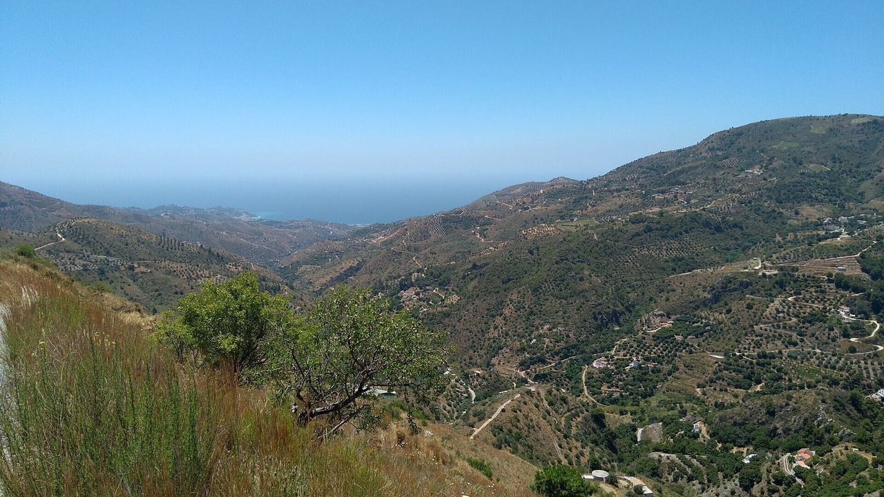 Photo of Others in Almunecar
