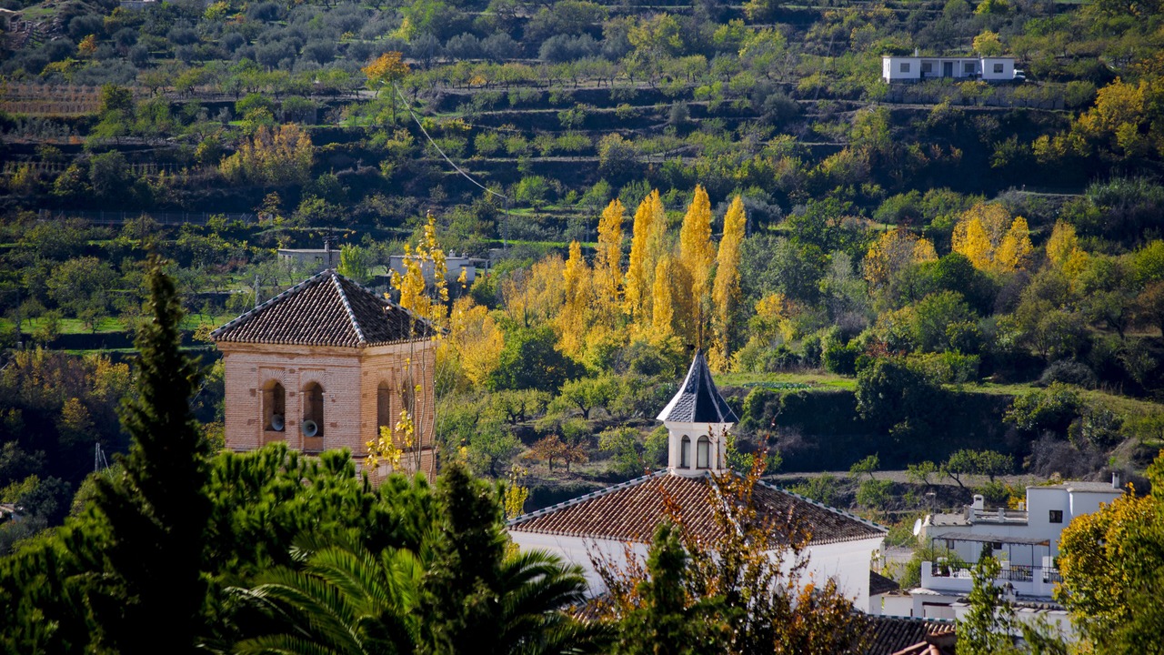 Photo of Outdoor in Nechite