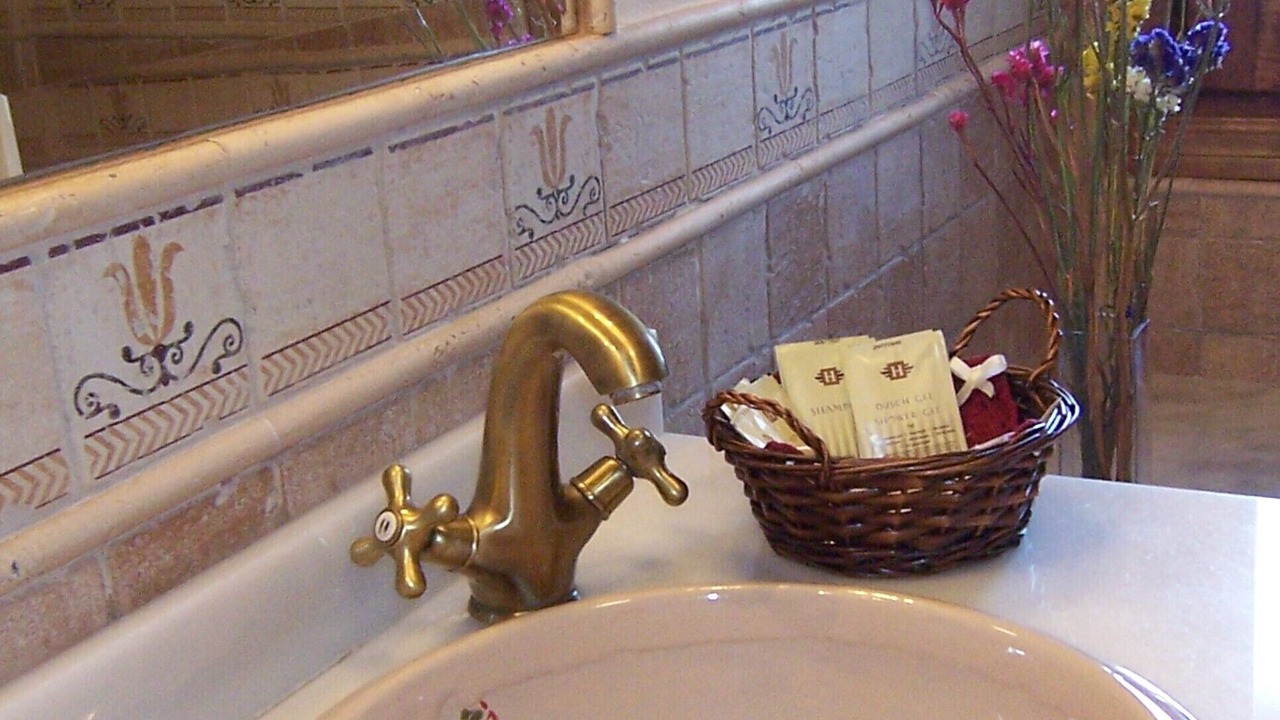 Photo of Bathroom in Nechite