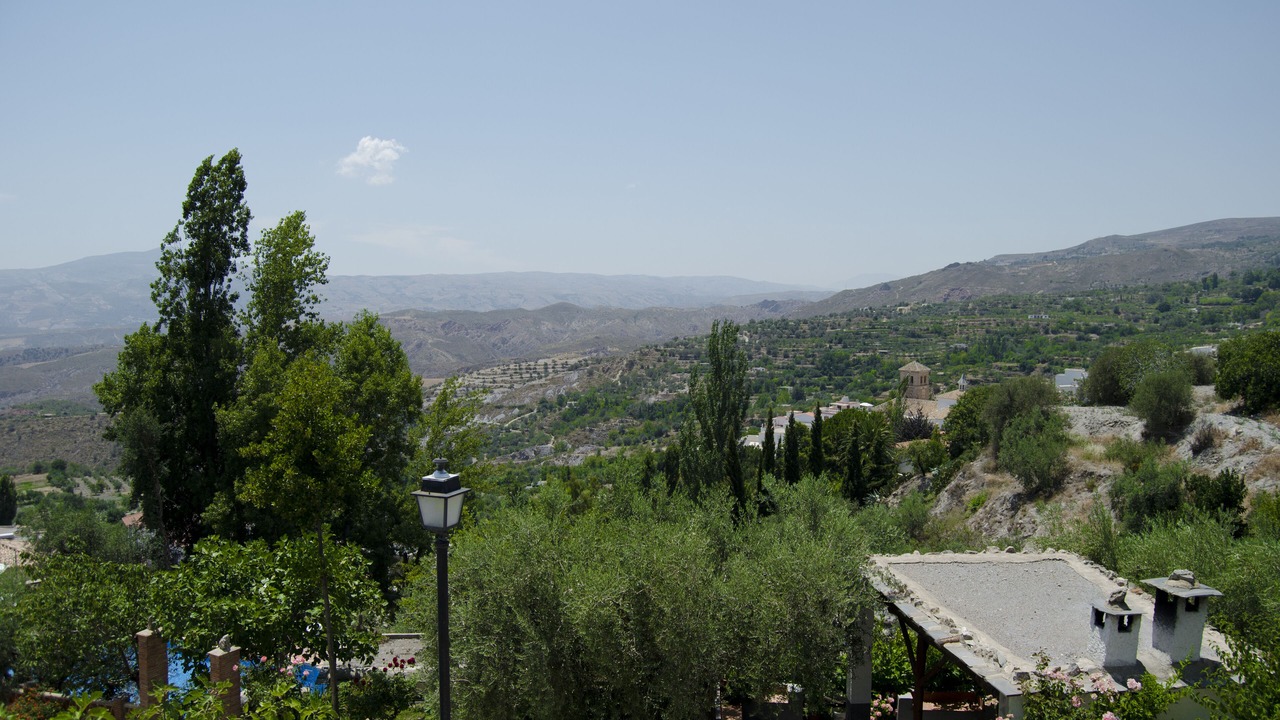 Photo of Others in Nechite