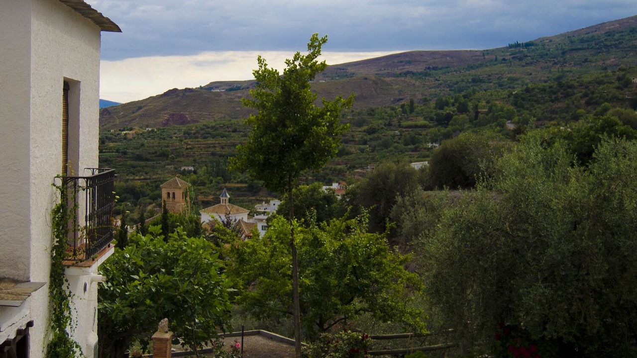 Photo of Others in Nechite