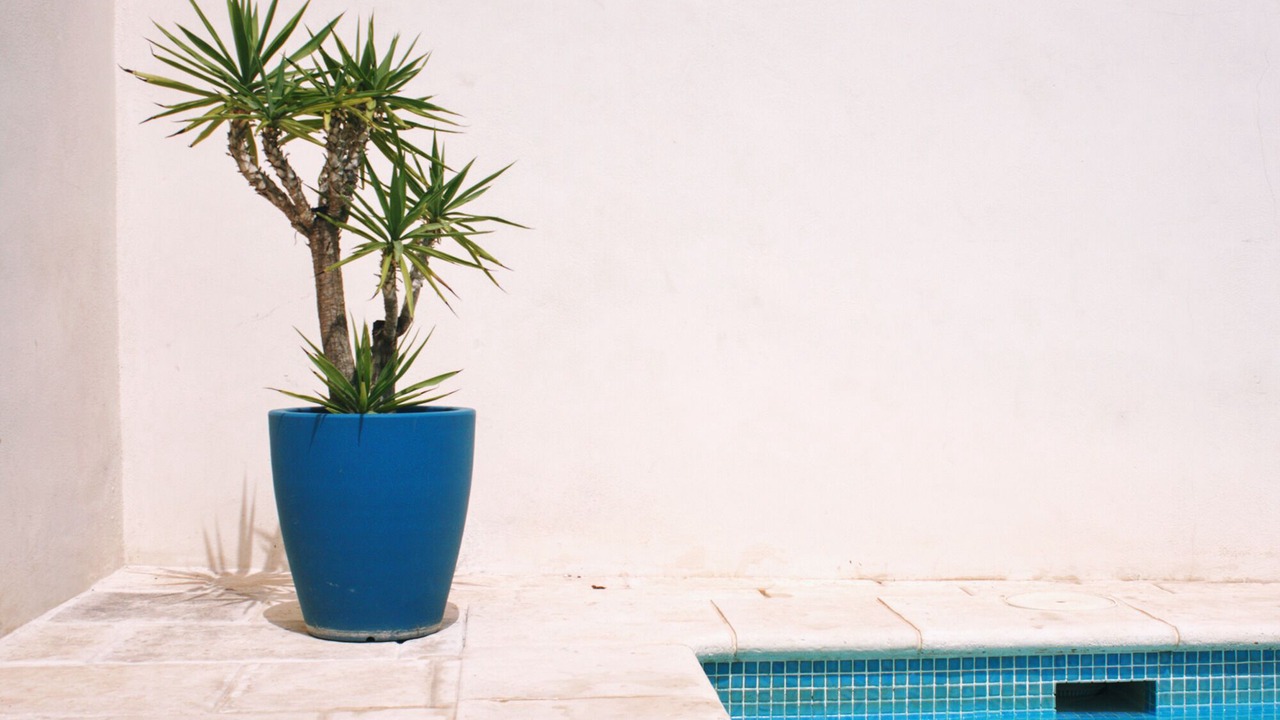 Photo of Outdoor in Velez de Benaudalla