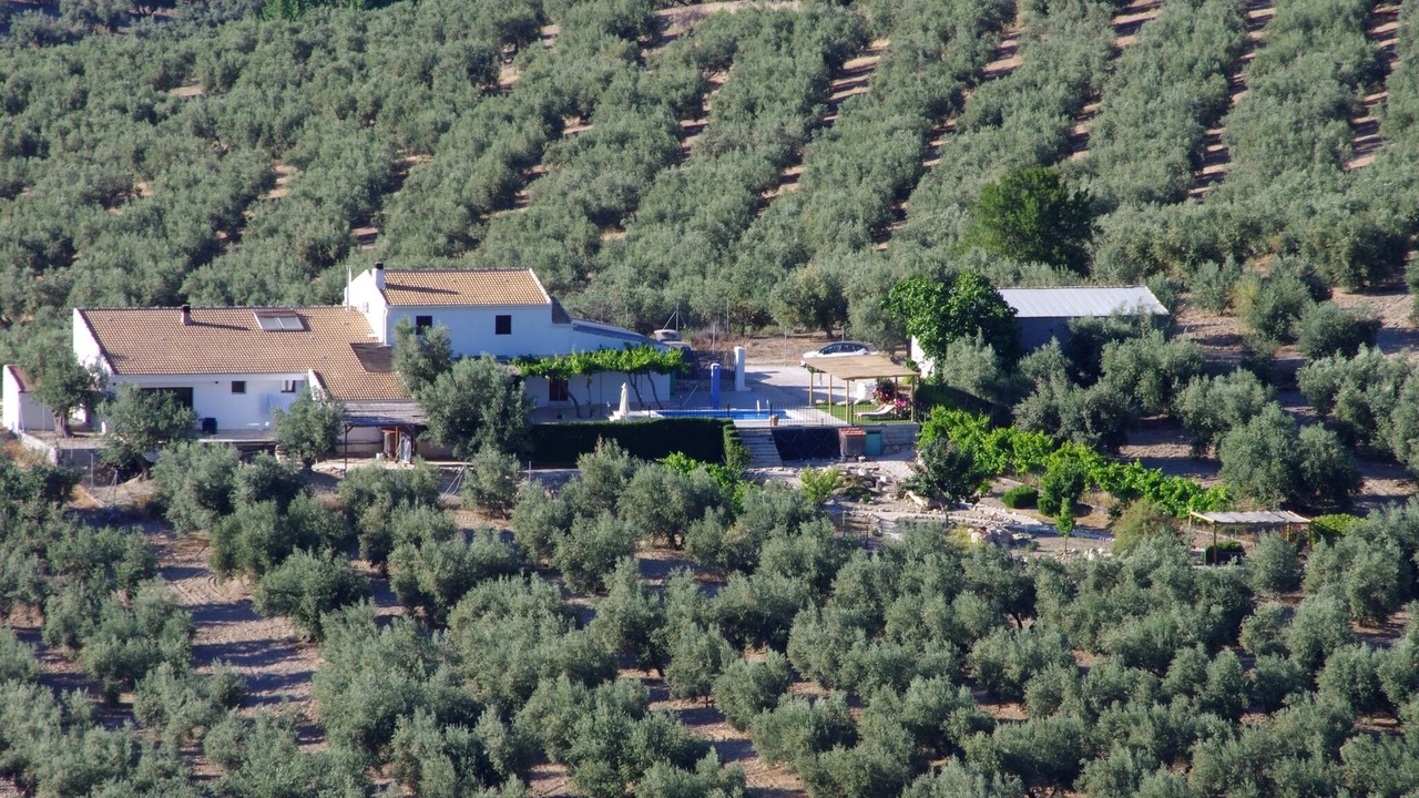 Photo of Outdoor in Montefrio