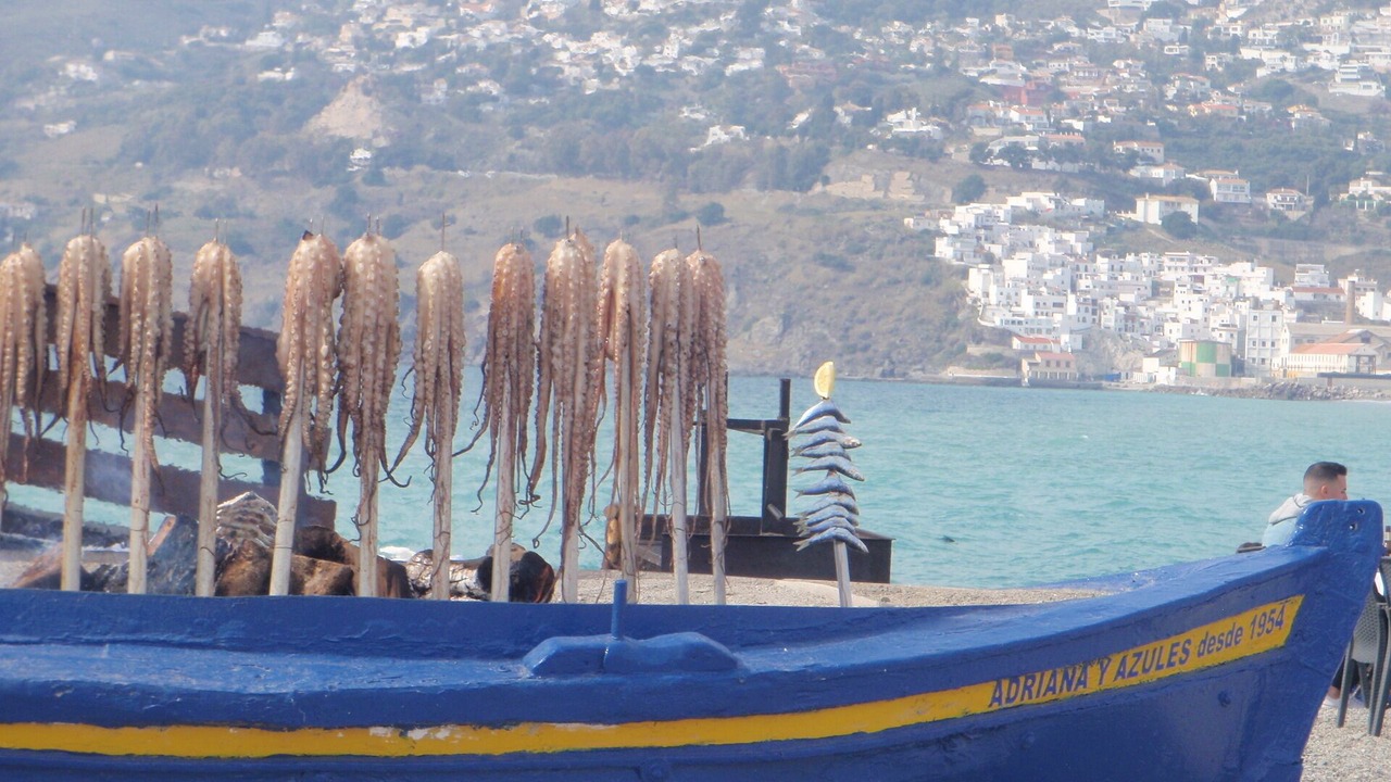 Photo of Others in Velez de Benaudalla