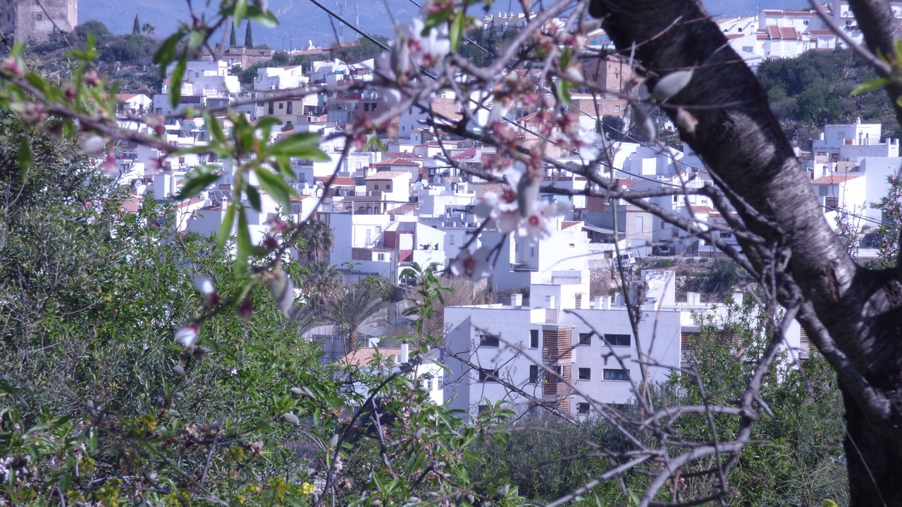 Photo of Others in Velez de Benaudalla
