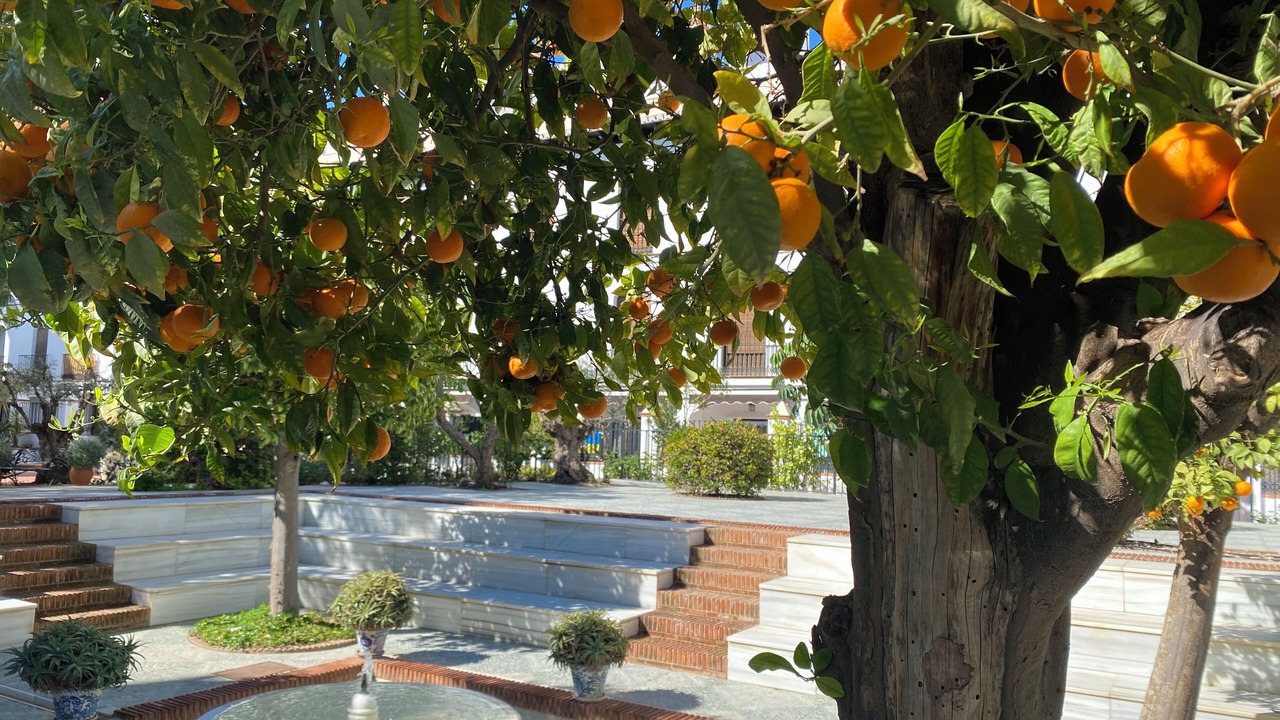 Photo of Outdoor in Velez de Benaudalla