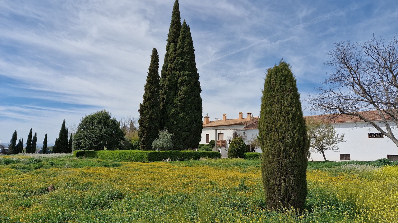 Photo of Outdoor in Valderrubio