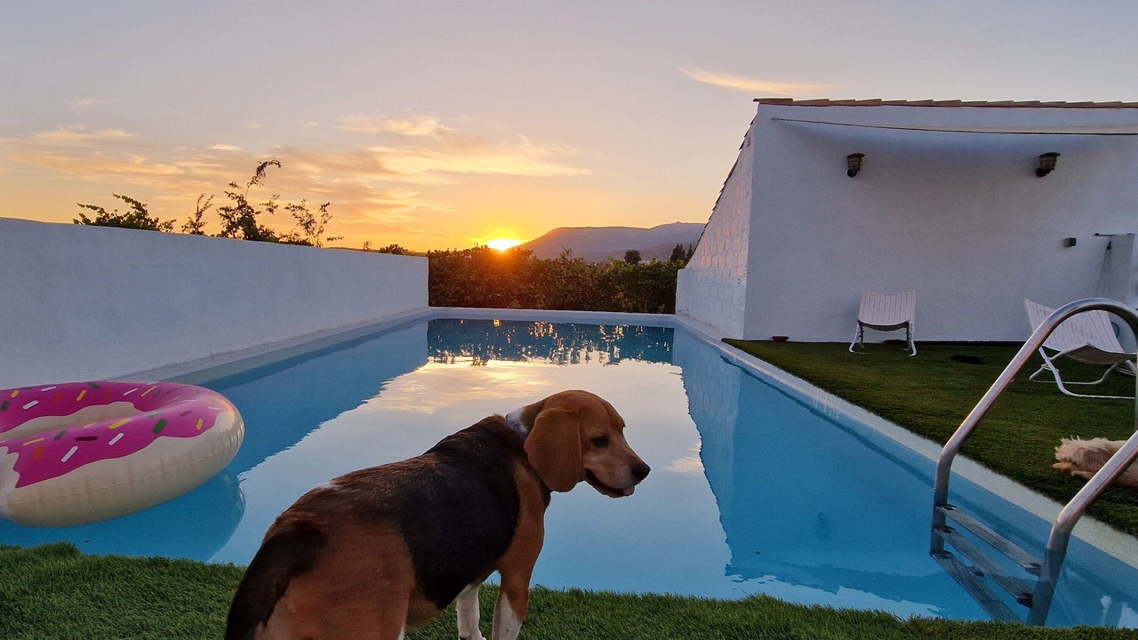 Photo of Outdoor in Valderrubio