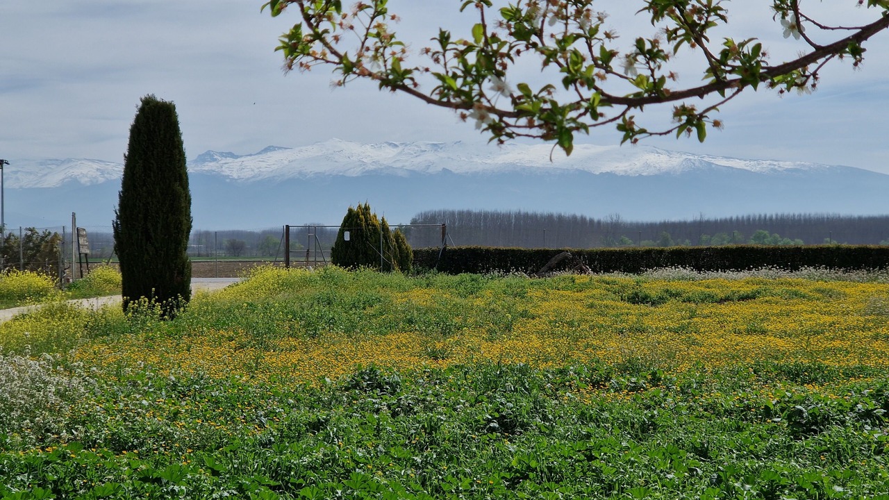 Photo of Outdoor in Valderrubio