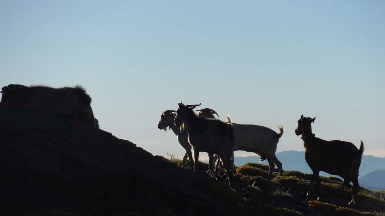 Photo of Outdoor in Bubion