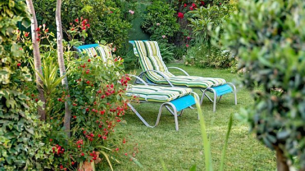Photo of Outdoor in Niguelas
