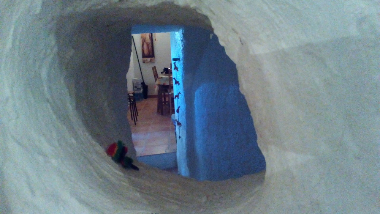 Photo of Others in Freila