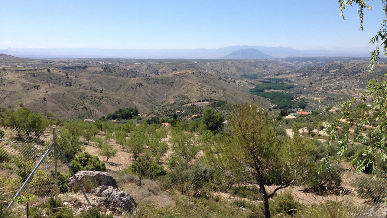 Photo of Outdoor in Castril