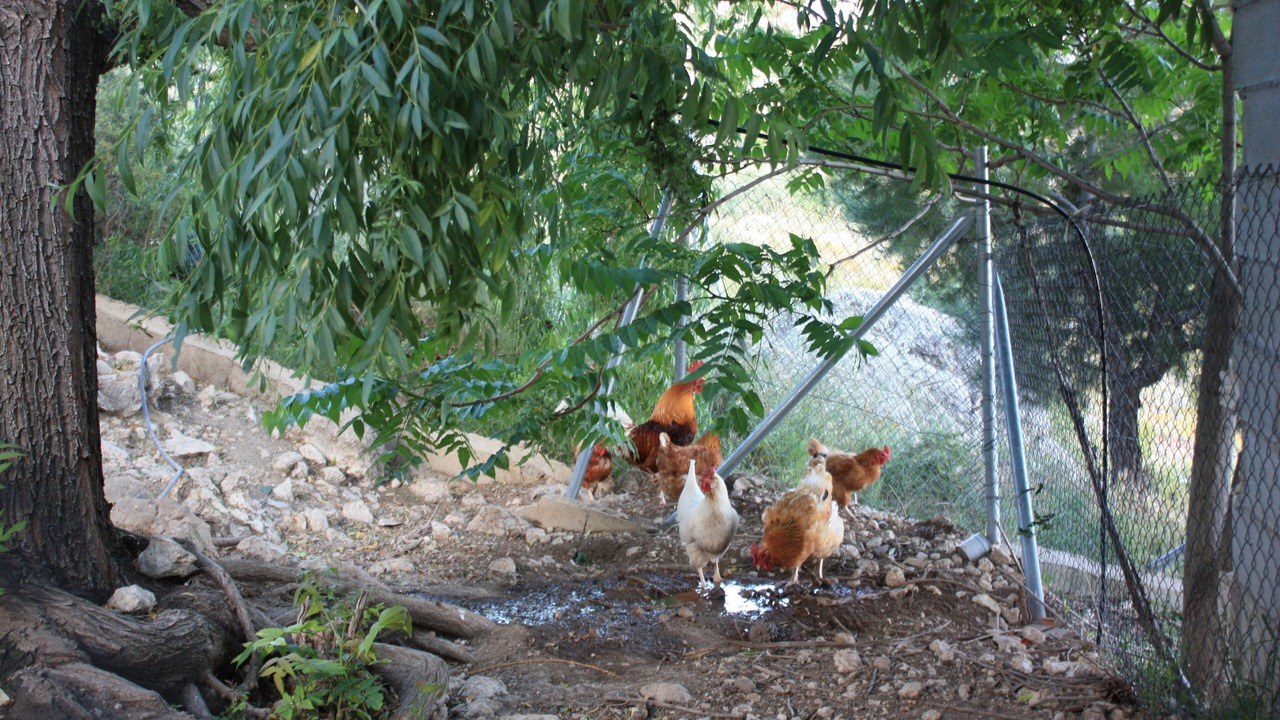 Photo of Outdoor in Castril