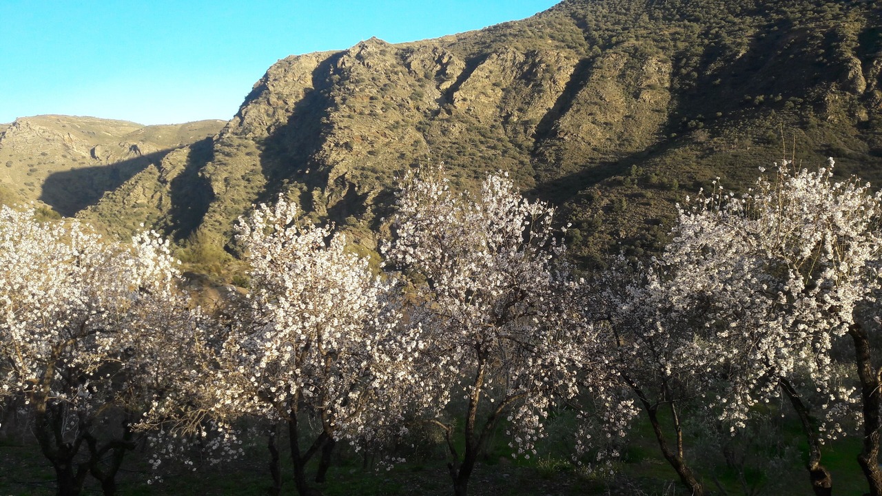 Photo of Outdoor in Mecina Fondales