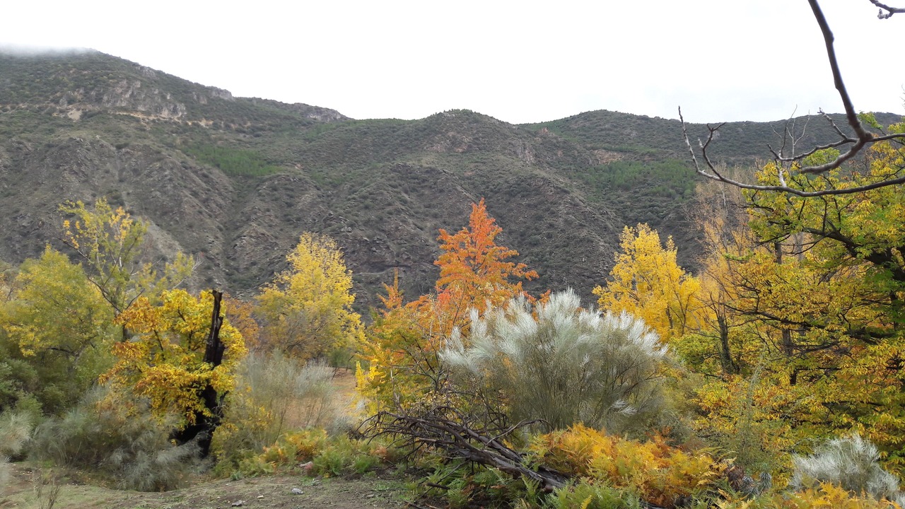 Photo of Outdoor in Mecina Fondales