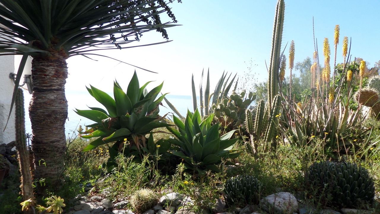 Photo of Outdoor in Velilla-Taramay