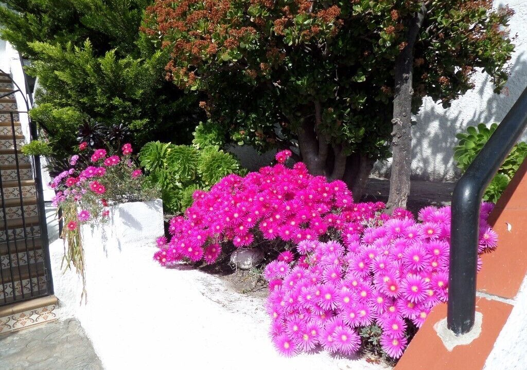 Photo of Outdoor in Velilla-Taramay